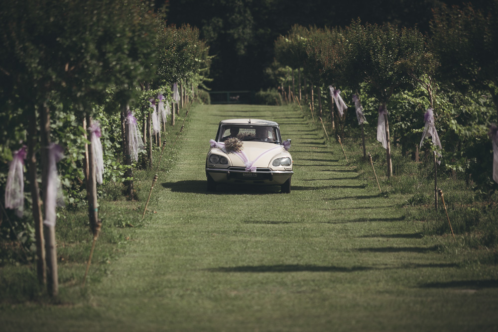 Servizio fotografico di matrimonio a Conegliano. Giulia ed Andrea sposi. Michelino Studio, fotografi di matrimonio Professionisti in Veneto.