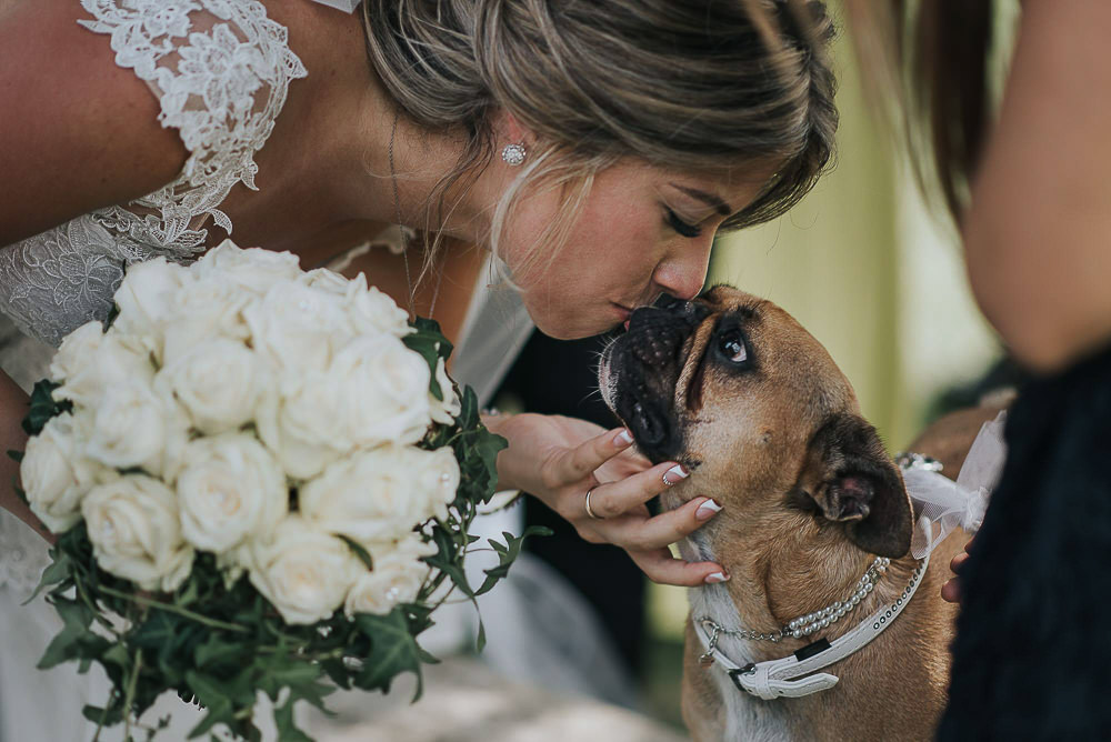 Matrimonio con il cane