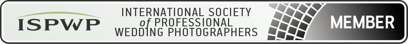 Matteo Michelino: Fotografo Professionista ISPWP. Badge del Contest Wedding Photography 2017
